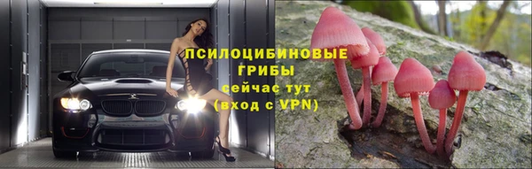 PSILOCYBIN Белокуриха
