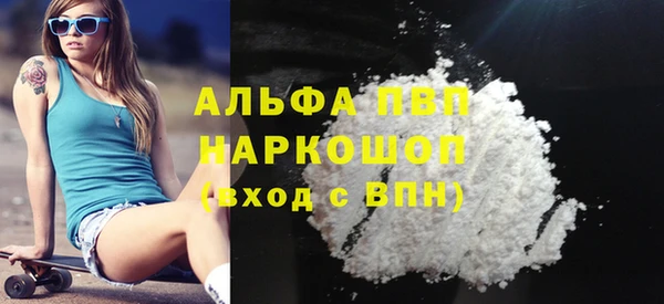 PSILOCYBIN Белокуриха