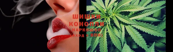 PSILOCYBIN Белокуриха