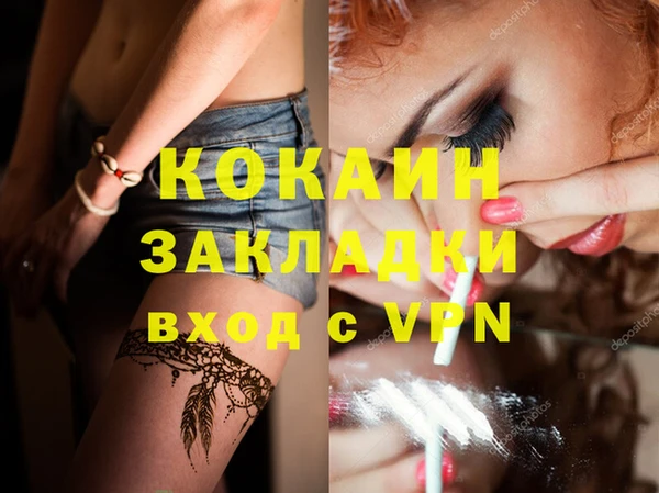 PSILOCYBIN Белокуриха