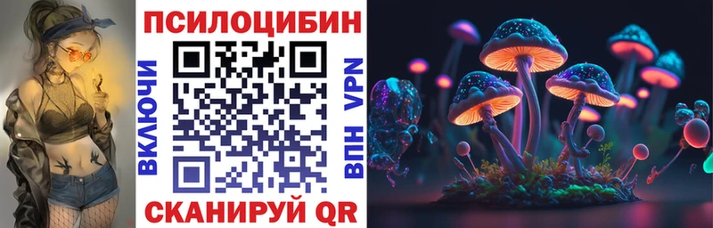 Псилоцибиновые грибы Psilocybe Вуктыл